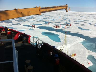Scientists discover huge phytoplankton bloom in ice-covered waters