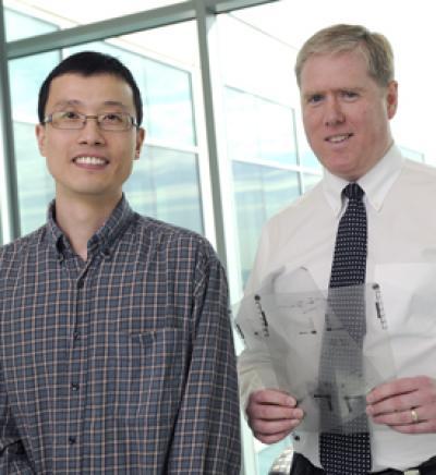 Blood-forming stem cells' growth identified in first breakthrough from new institute Blood-forming stem cells' growth identified in first breakthrough from new institute