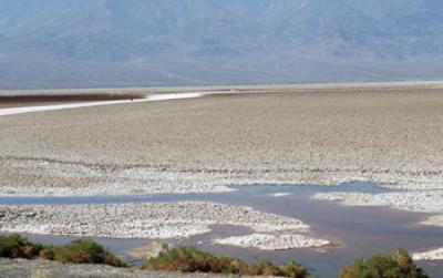 Badwater Basin: Death Valley microbe thrives there Badwater Basin: Death Valley microbe thrives there
