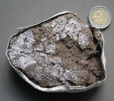 Evidence for early 'bedding' and the use of medicinal plants at a South African rock shelter