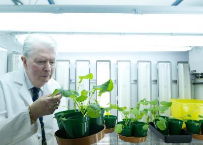Professor Cocking in the growth room. Credit: The University of Nottingham