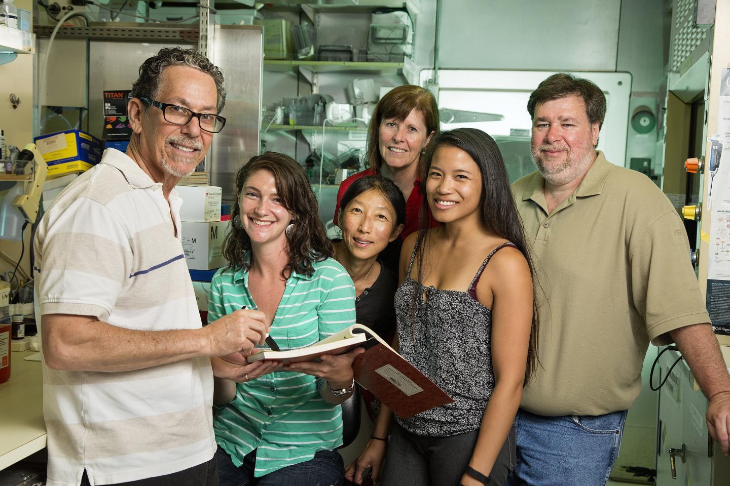 Modified vitamin D shows promise as treatment for pancreatic cancer