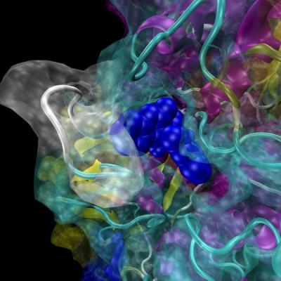 Moving 3D computer model of key human protein is powerful new tool in ...
