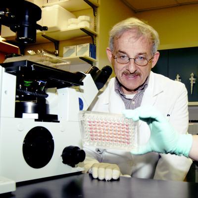 animal disease